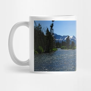 850_1800 Mug